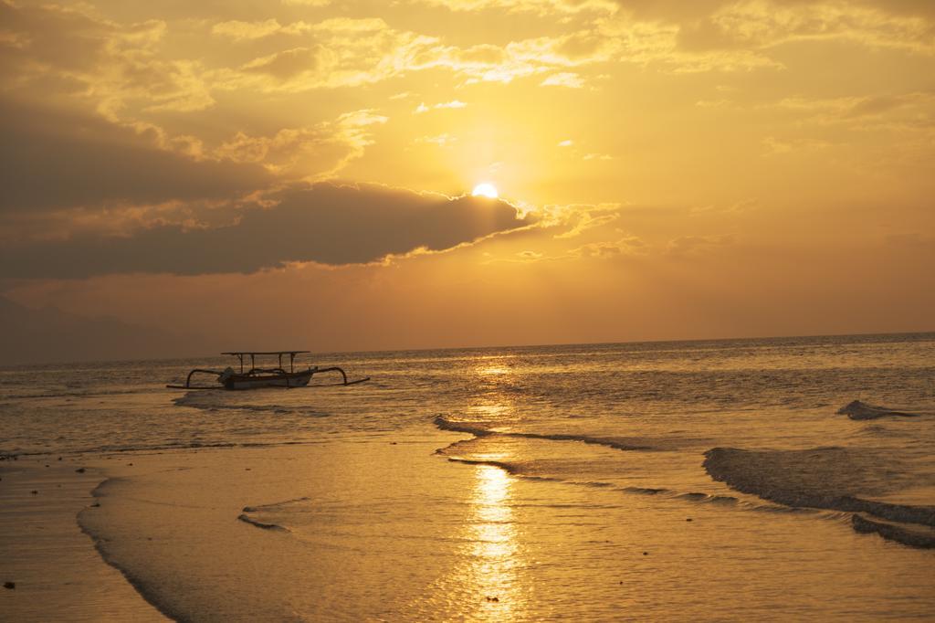 Dolphin Beach Bali Ловина Экстерьер фото