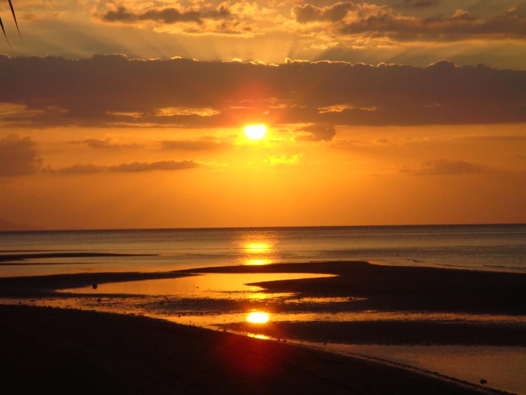 Dolphin Beach Bali Ловина Экстерьер фото
