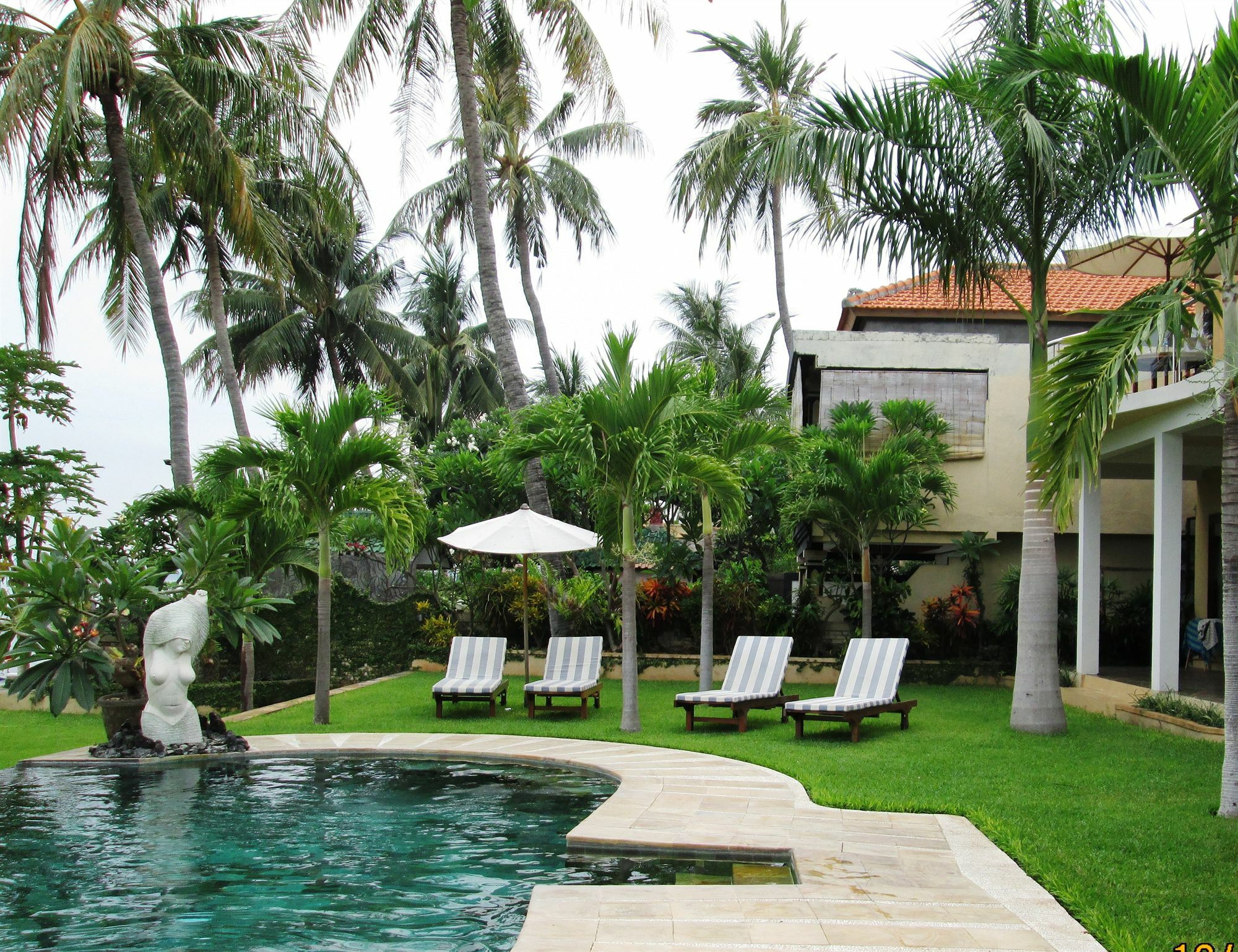 Dolphin Beach Bali Ловина Экстерьер фото